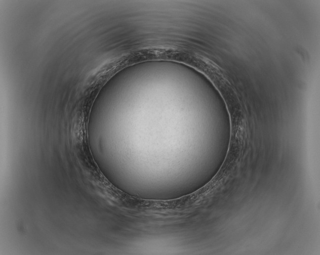X0000115261014200911131742