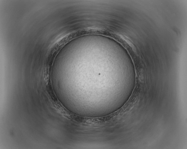 X0000115261015200911131742