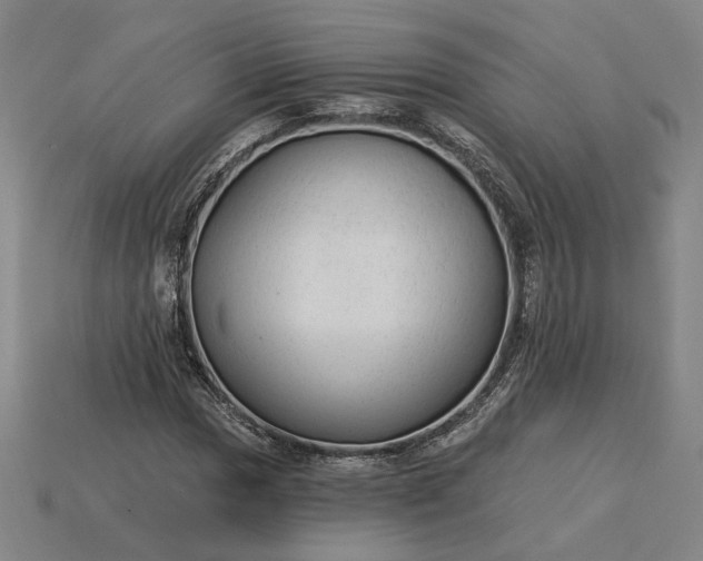 X0000115261017200911131742