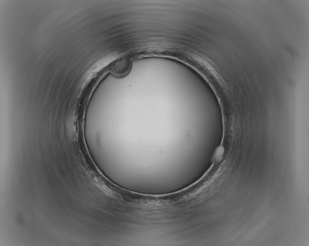 X0000115261018200911131742