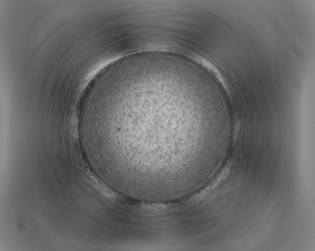 X0000115261019200911131742