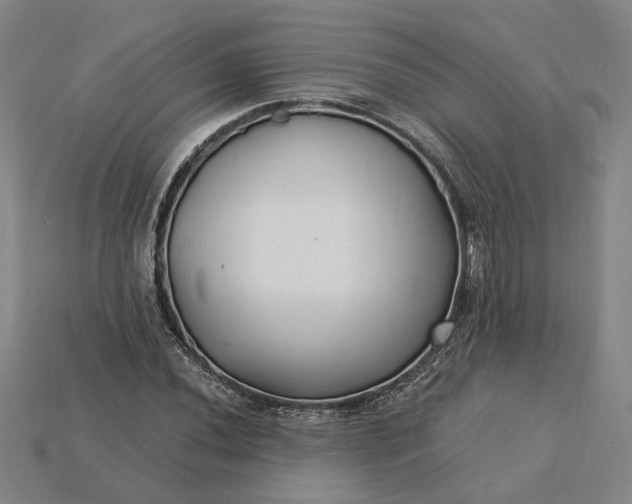 X0000115261020200911131742
