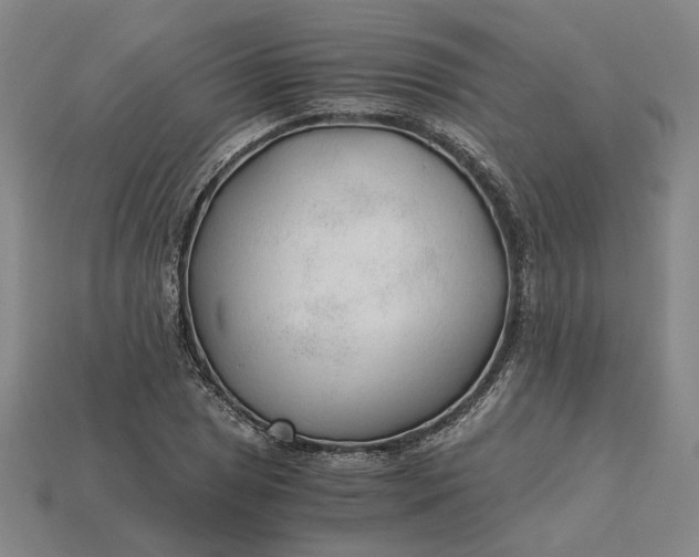 X0000115261025200911131742