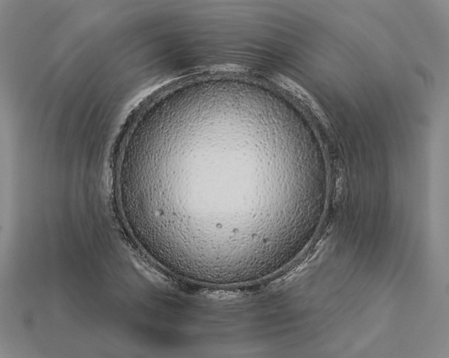 X0000115261027200911131742