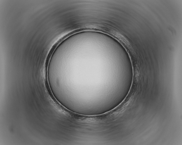 X0000115261028200911131742