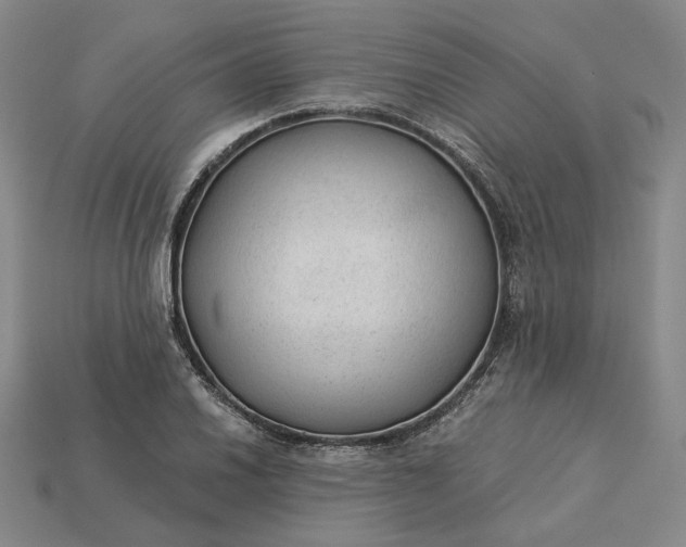 X0000115261030200911131742