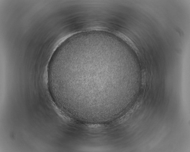 X0000115261031200911131742