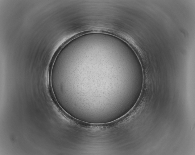 X0000115261032200911131742