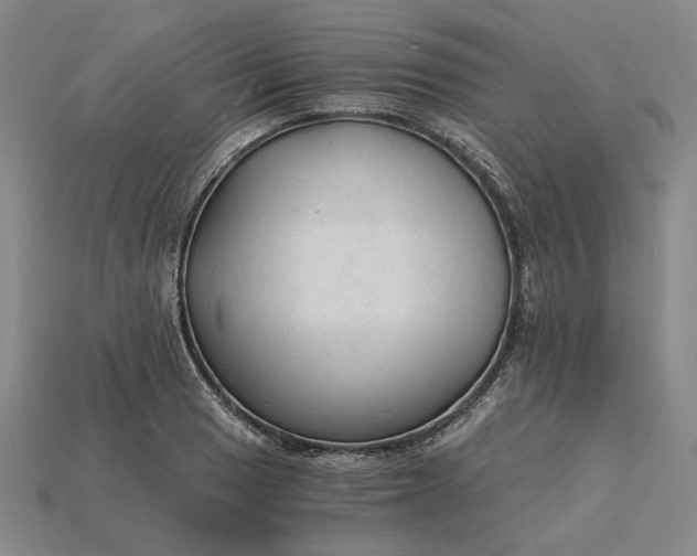 X0000115261033200911131742