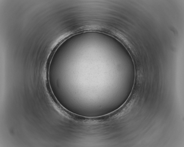 X0000115261034200911131742