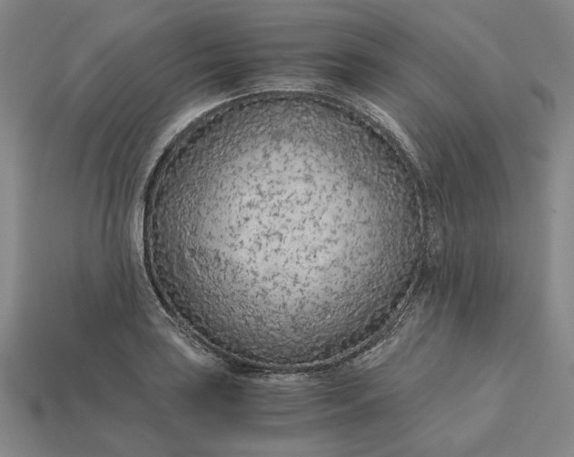 X0000115261035200911131742