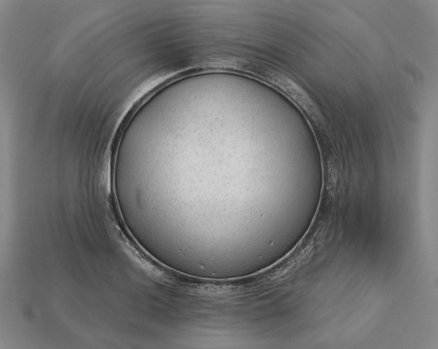 X0000115261036200911131742