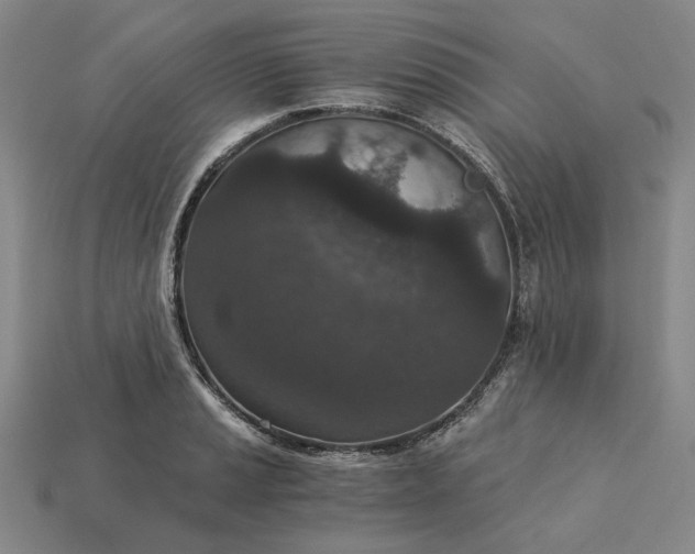 X0000115261037200911131742