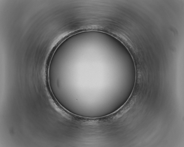 X0000115261038200911131742