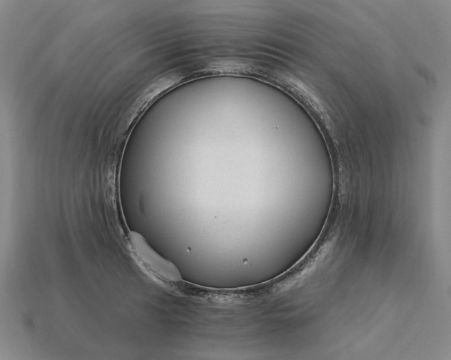 X0000115261041200911131742