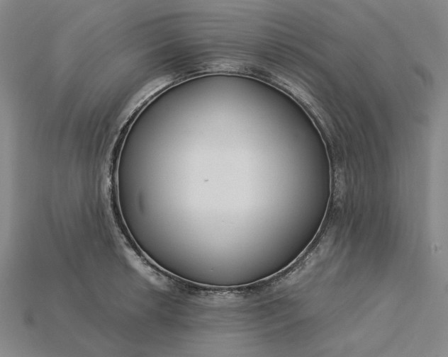 X0000115261042200911131742