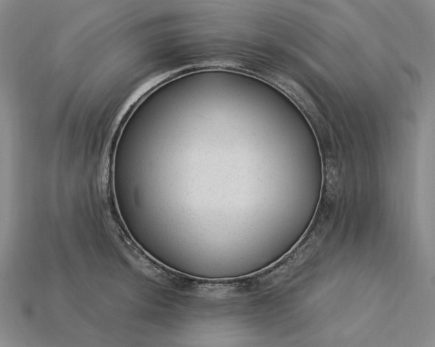X0000115261044200911131742