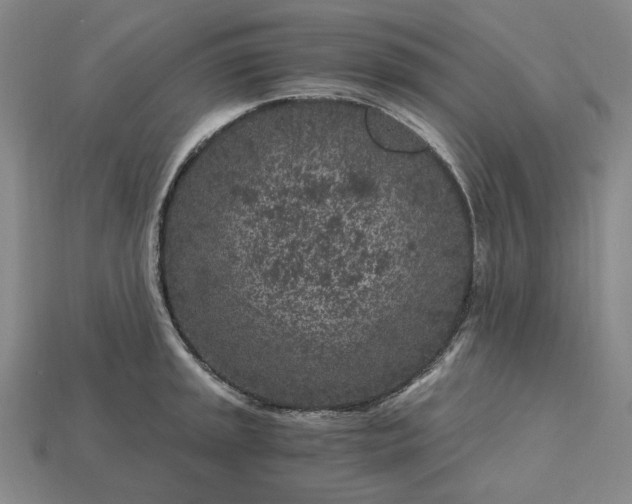 X0000115261045200911131742