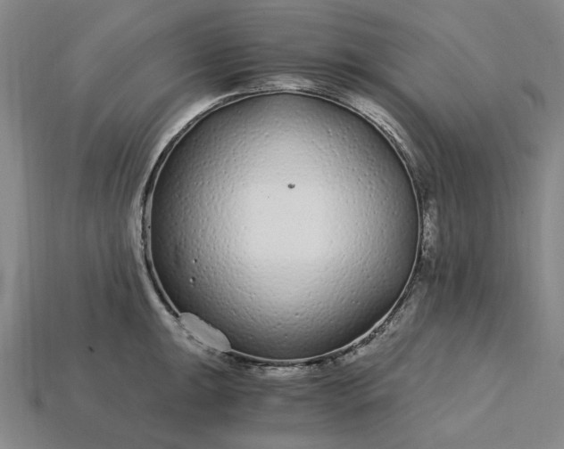 X0000115261047200911131742