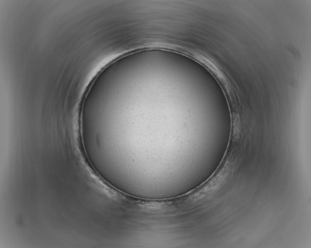 X0000115261048200911131742