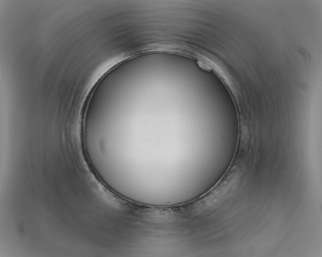 X0000115261050200911131742