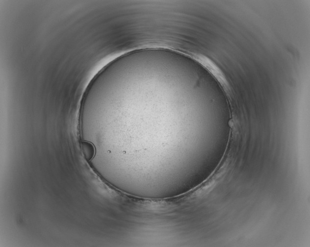 X0000115261052200911131742