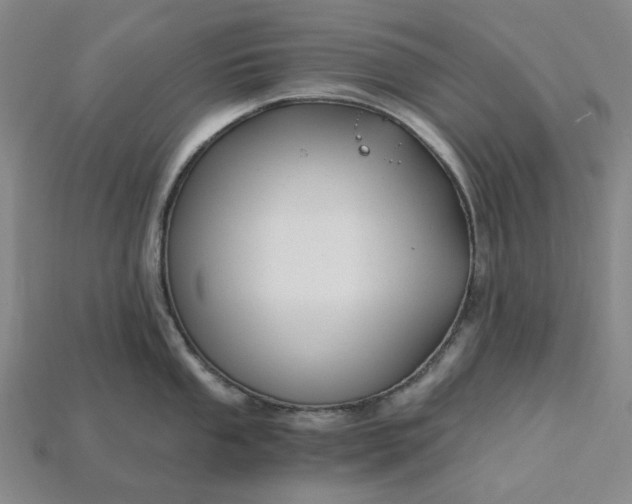X0000115261053200911131742