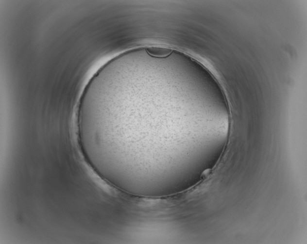 X0000115261056200911131742