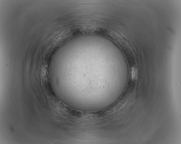 X0000115261059200911131741