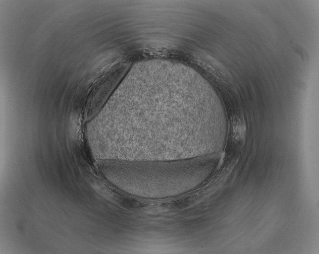 X0000115261060200911131741