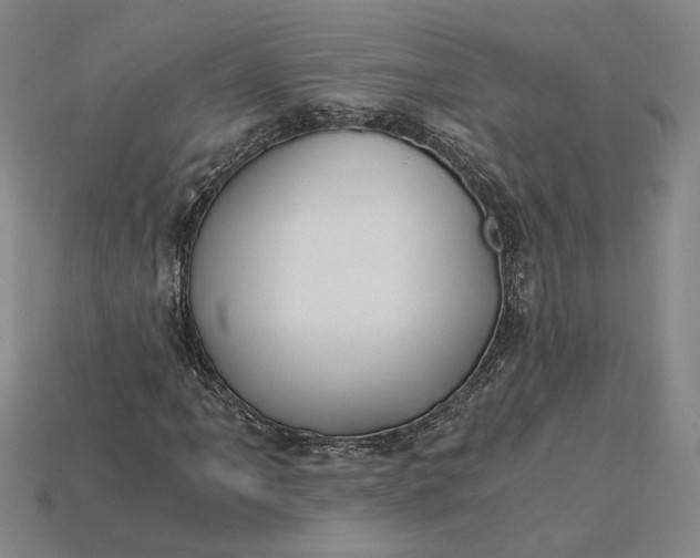 X0000115261061200911131741