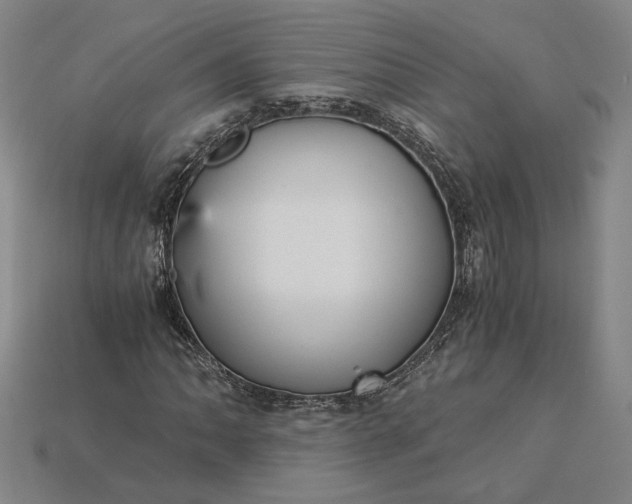 X0000115261062200911131741