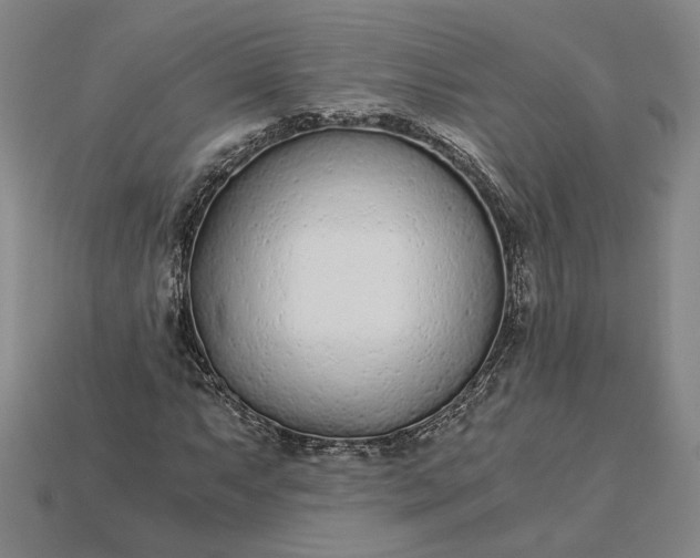 X0000115261063200911131741