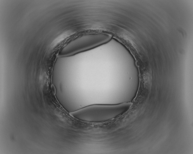 X0000115261064200911131741