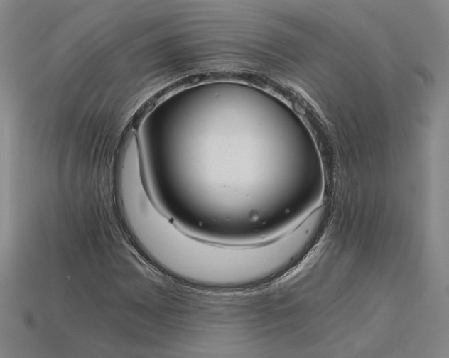 X0000115261065200911131741