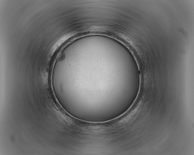 X0000115261066200911131741