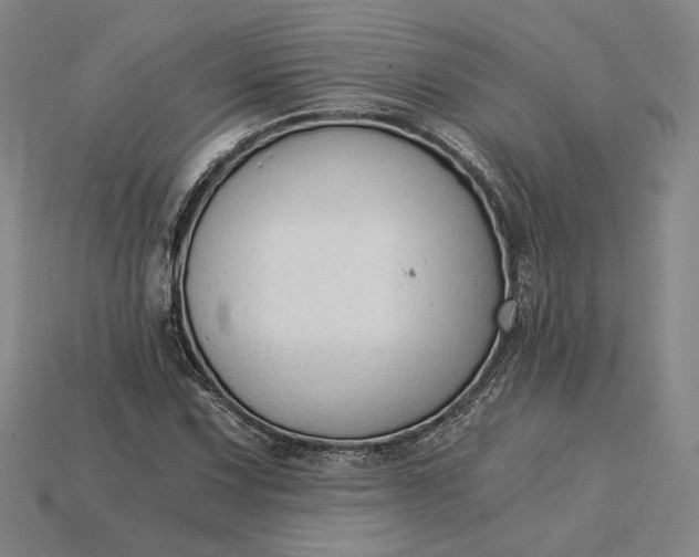 X0000115261067200911131741