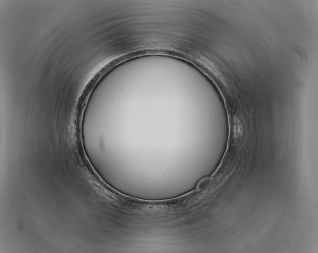 X0000115261068200911131741