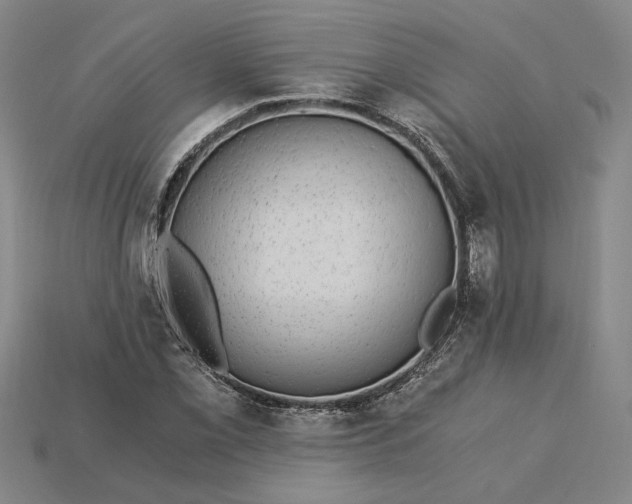 X0000115261069200911131741