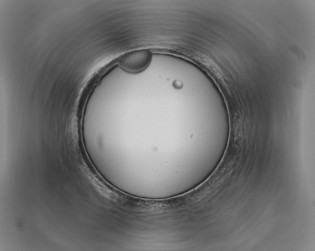 X0000115261072200911131741