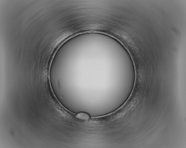 X0000115261073200911131741