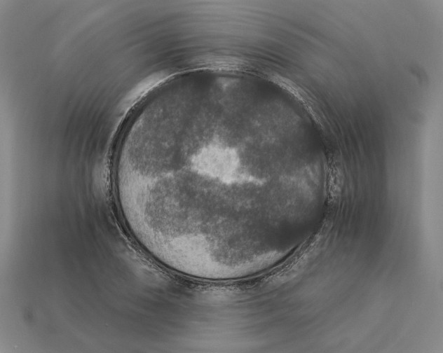 X0000115261074200911131741