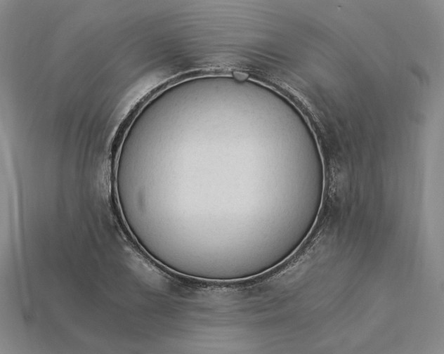 X0000115261075200911131741