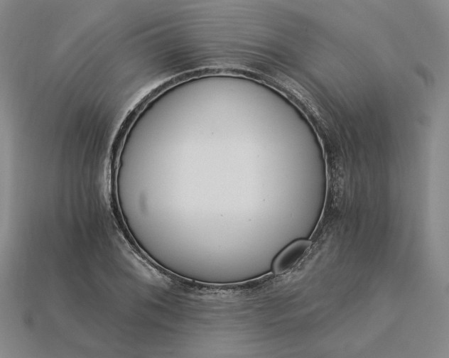 X0000115261076200911131741