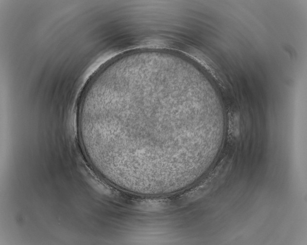 X0000115261078200911131741