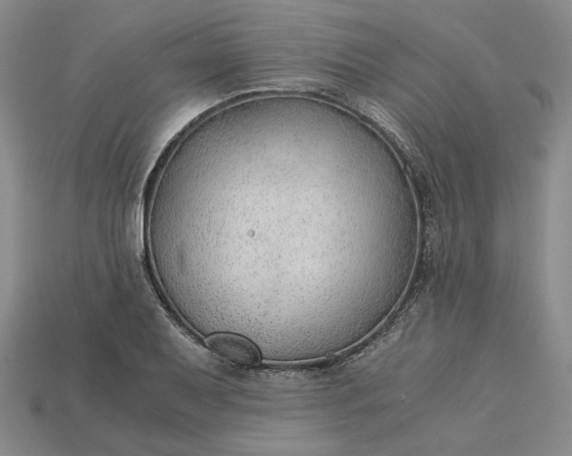X0000115261079200911131741