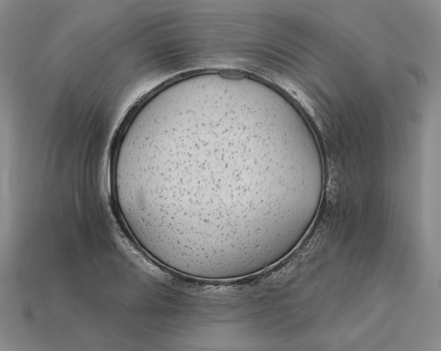 X0000115261080200911131741