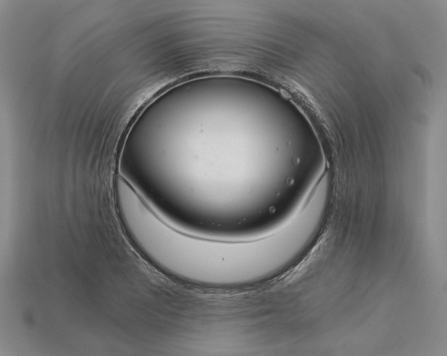 X0000115261081200911131741