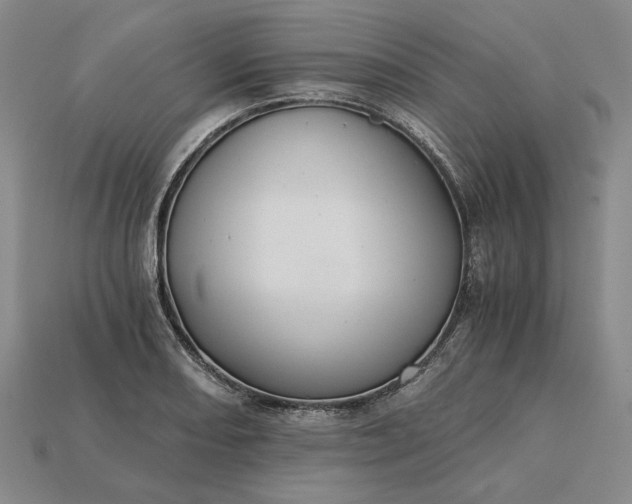 X0000115261082200911131741