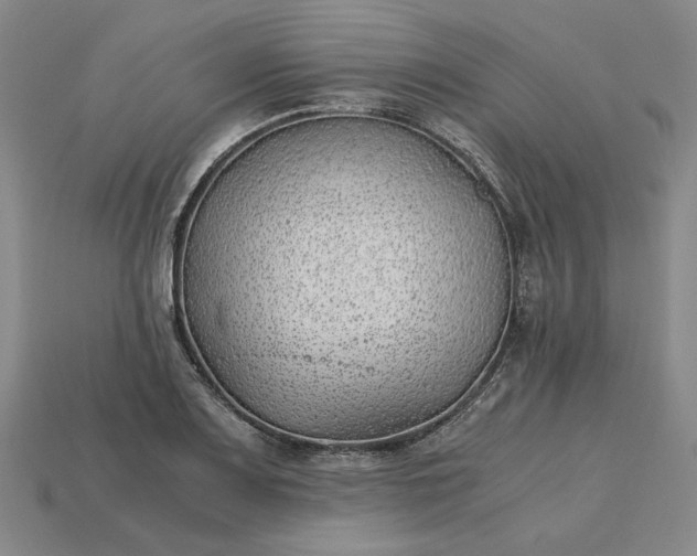 X0000115261083200911131741